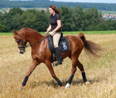 SRF Barolo